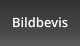 Bildbevis